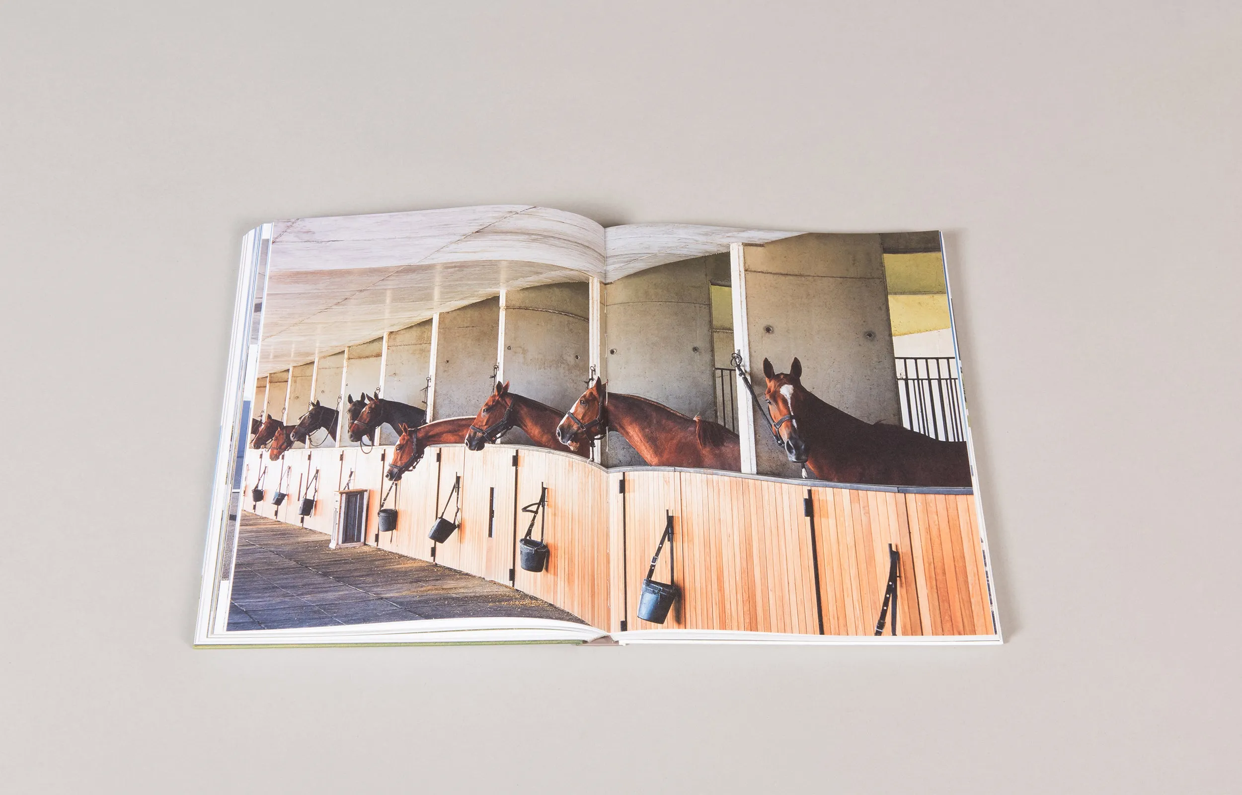 Figueras Polo Stables: Estudio Ramos (Masterpiece Series)