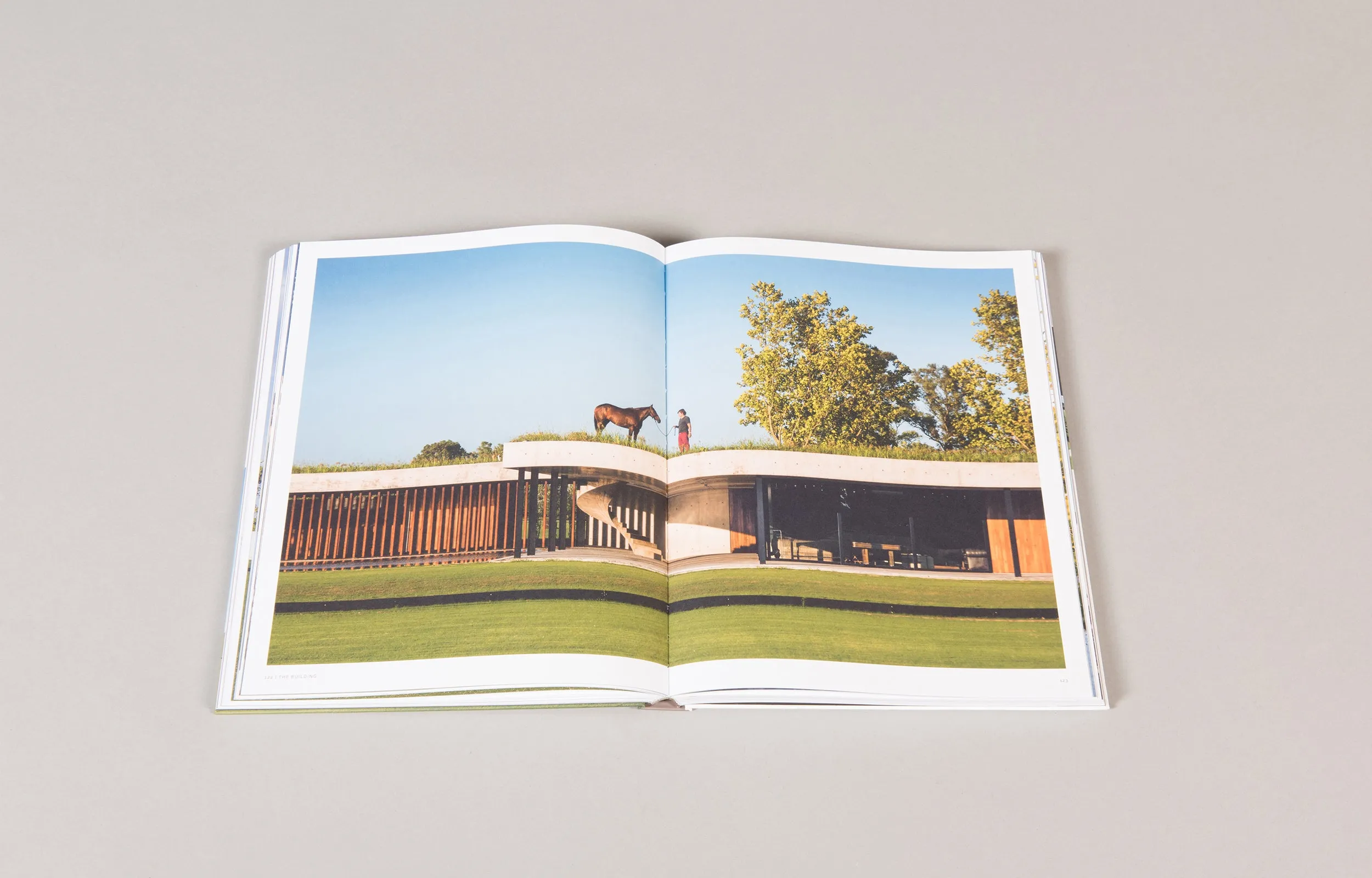 Figueras Polo Stables: Estudio Ramos (Masterpiece Series)