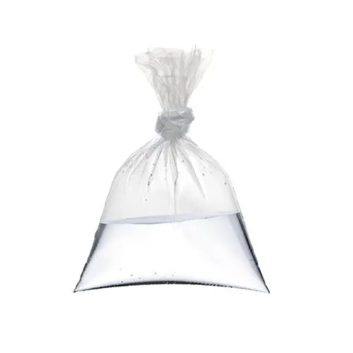 Plastic Bag 300x400mm 25mic Clear 250Pack